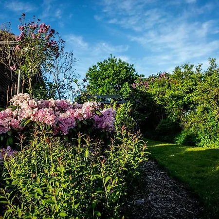 Appartement Freesenkoog Koldenbuttel