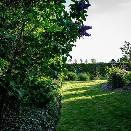 Freesenkoog 公寓 Koldenbuttel