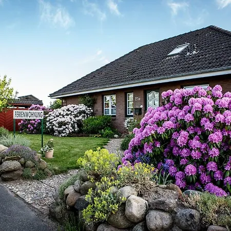 Freesenkoog Koldenbuttel