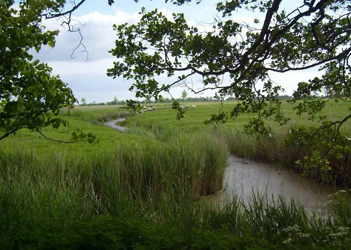 Appartamento Freesenkoog *