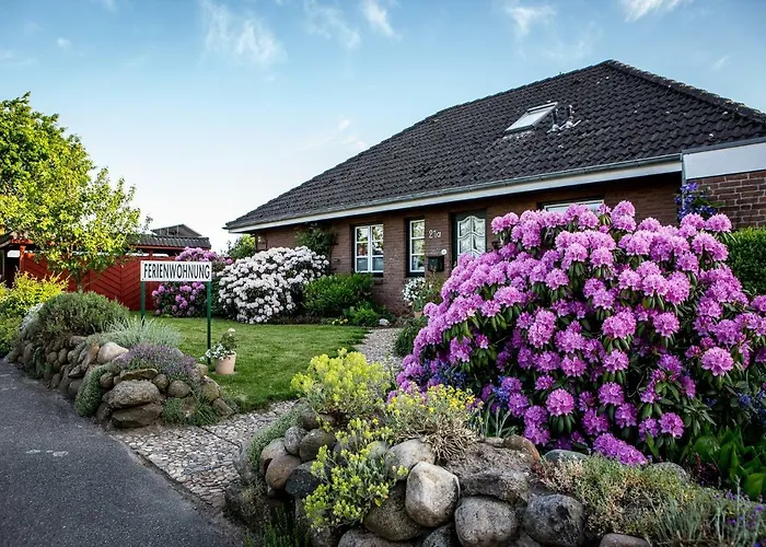 Freesenkoog Koldenbuttel